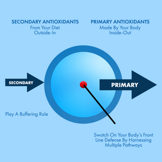 CLAR8TY | Antioxidants